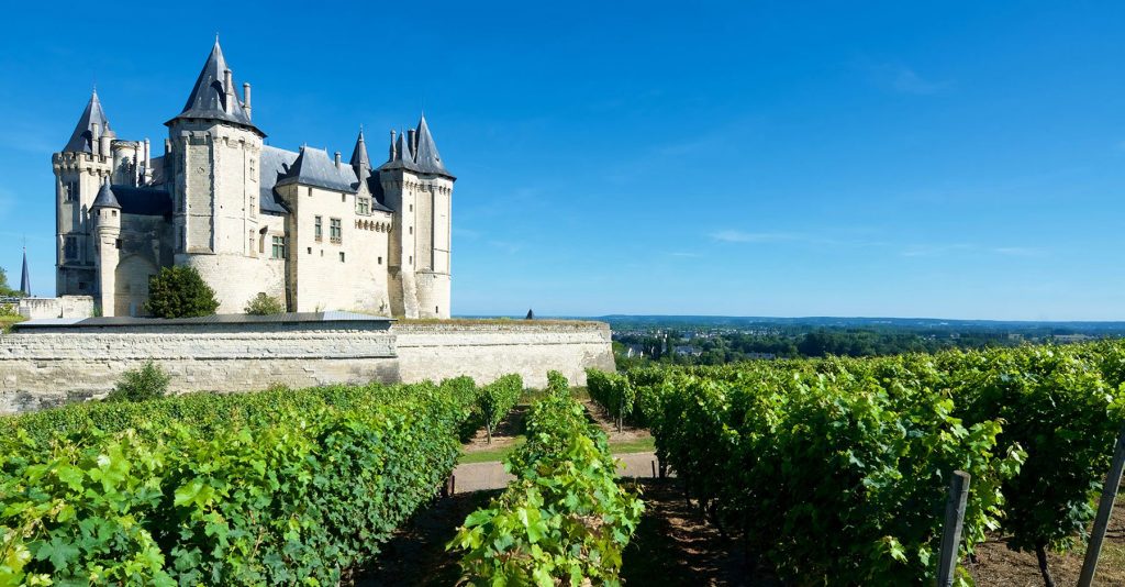 wineyards of Loire Valley