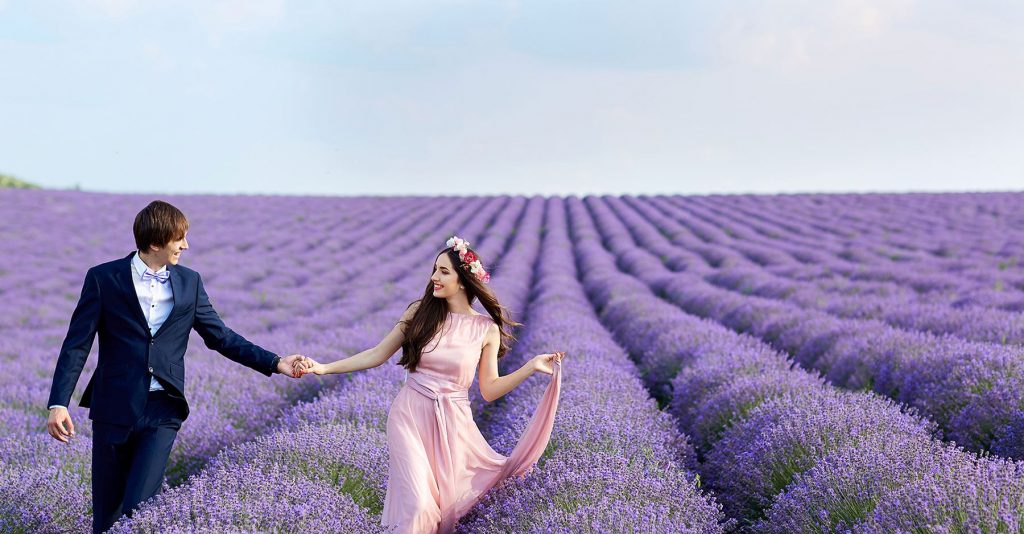 a couple into lavender fields